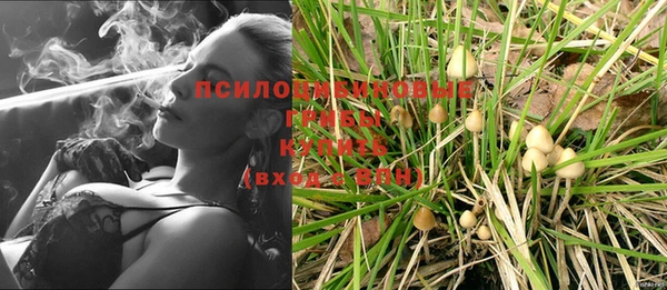 дистиллят марихуана Пересвет