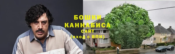 2c-b Пестово
