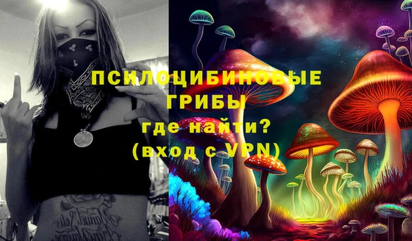 2c-b Пестово
